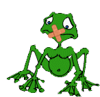 kikker